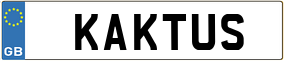 Truck License Plate
